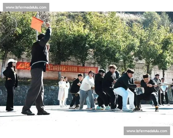 激烈拼搏燃动赛场展现团队精神的手球比赛全面精彩上演